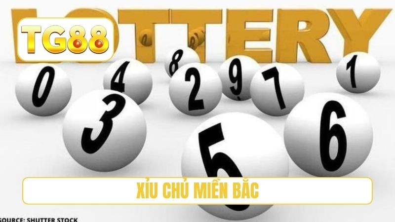 Xỉu Chủ Miền Bắc - Top 3 Bí Quyết Soi Cầu Tại TG88 1 Xỉu Chủ Miền Bắc